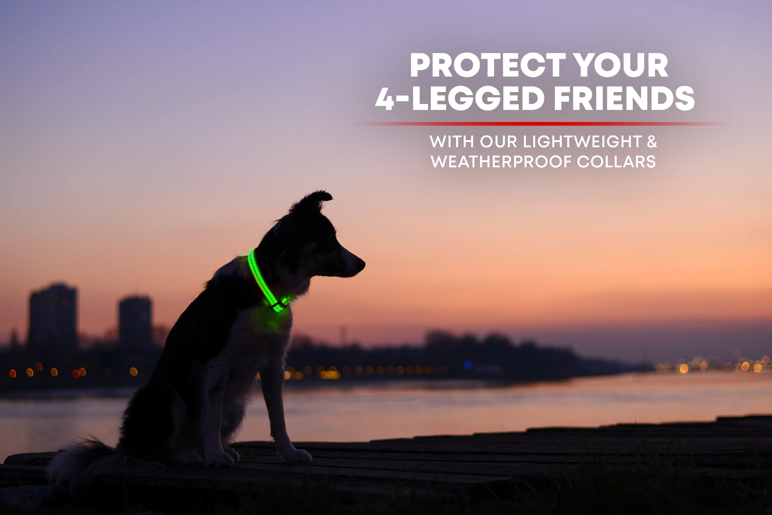 ILLUMISEEN Rechargeable LED Dog Collar