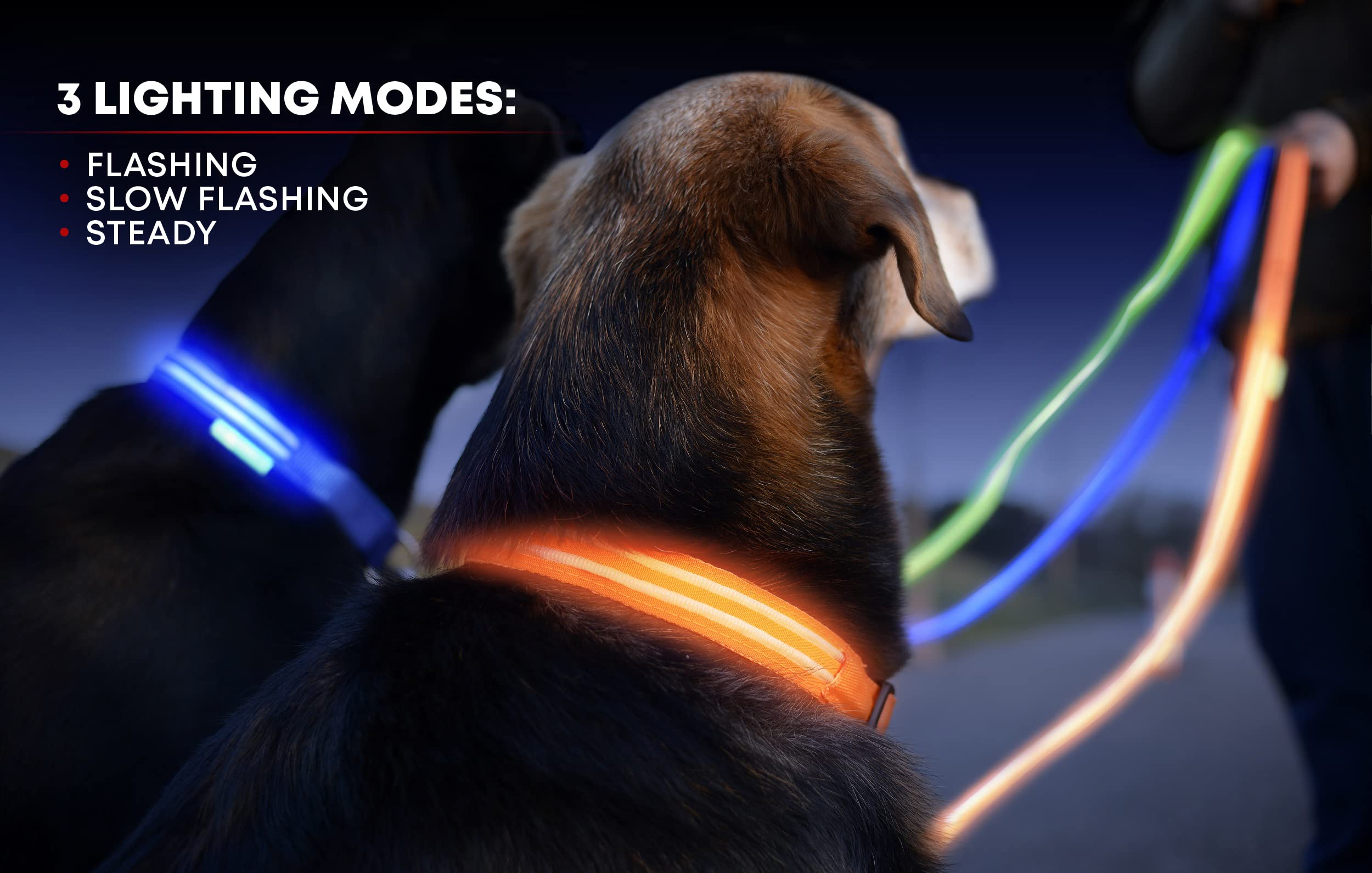 ILLUMISEEN Rechargeable LED Dog Collar