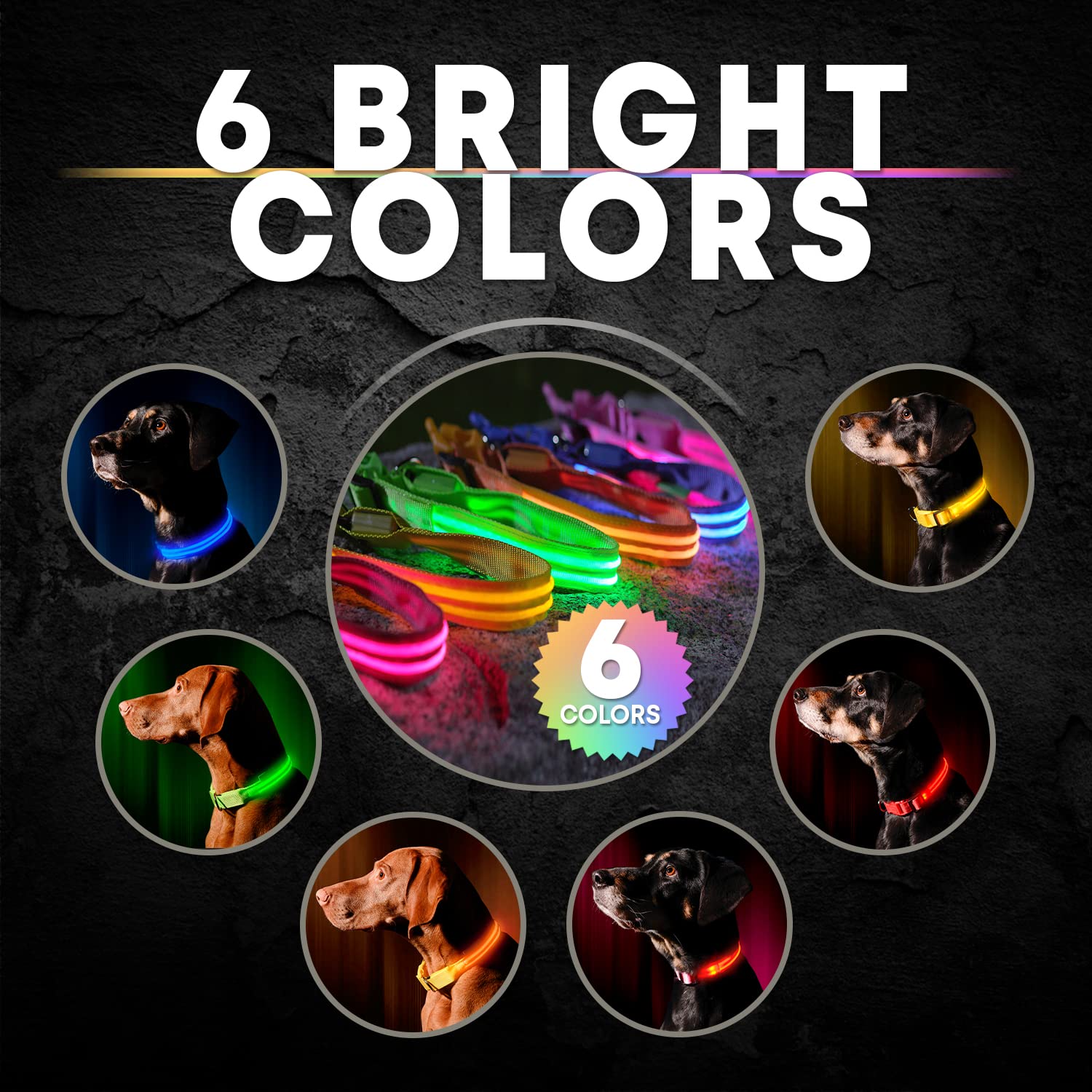 ILLUMISEEN Rechargeable LED Dog Collar