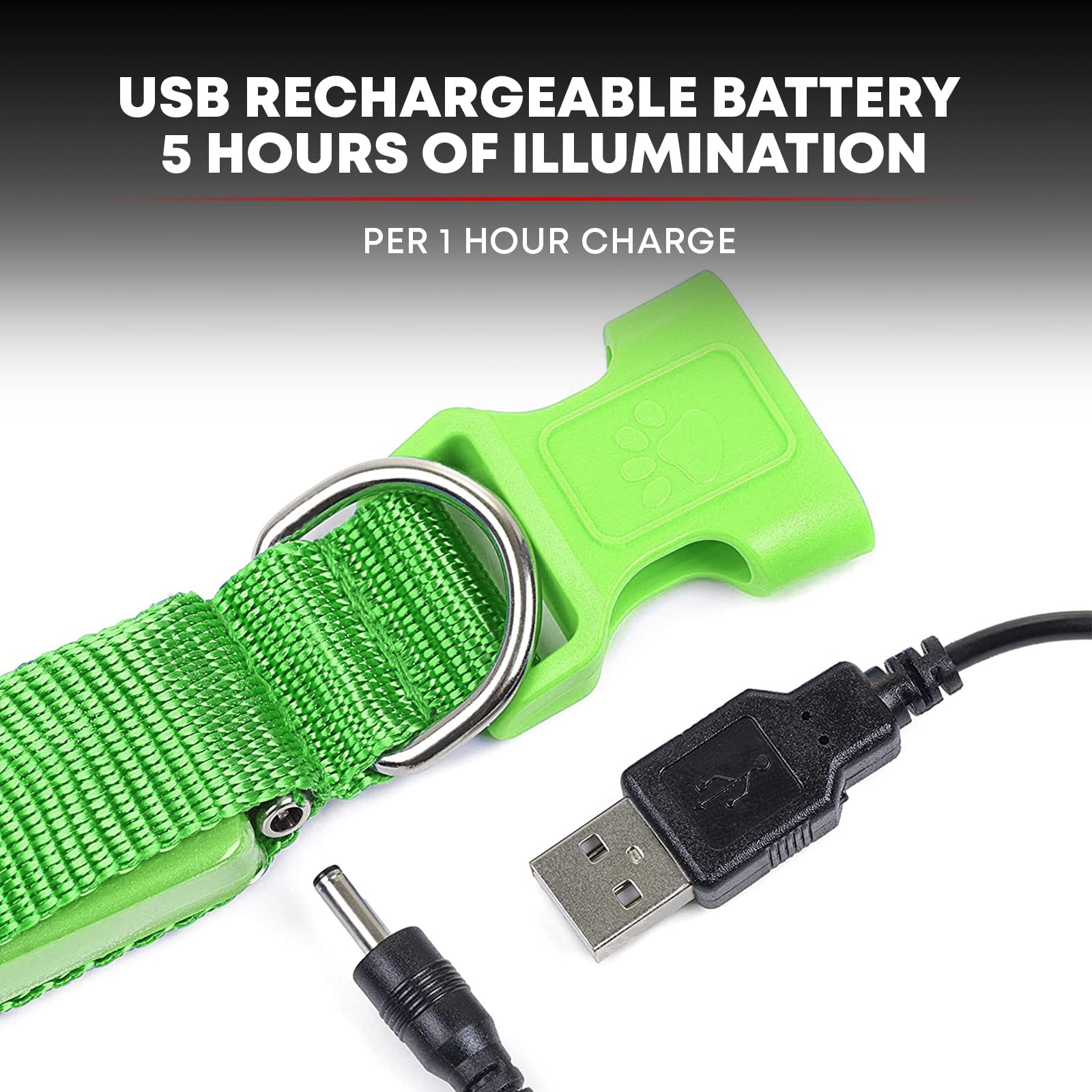 ILLUMISEEN Rechargeable LED Dog Collar