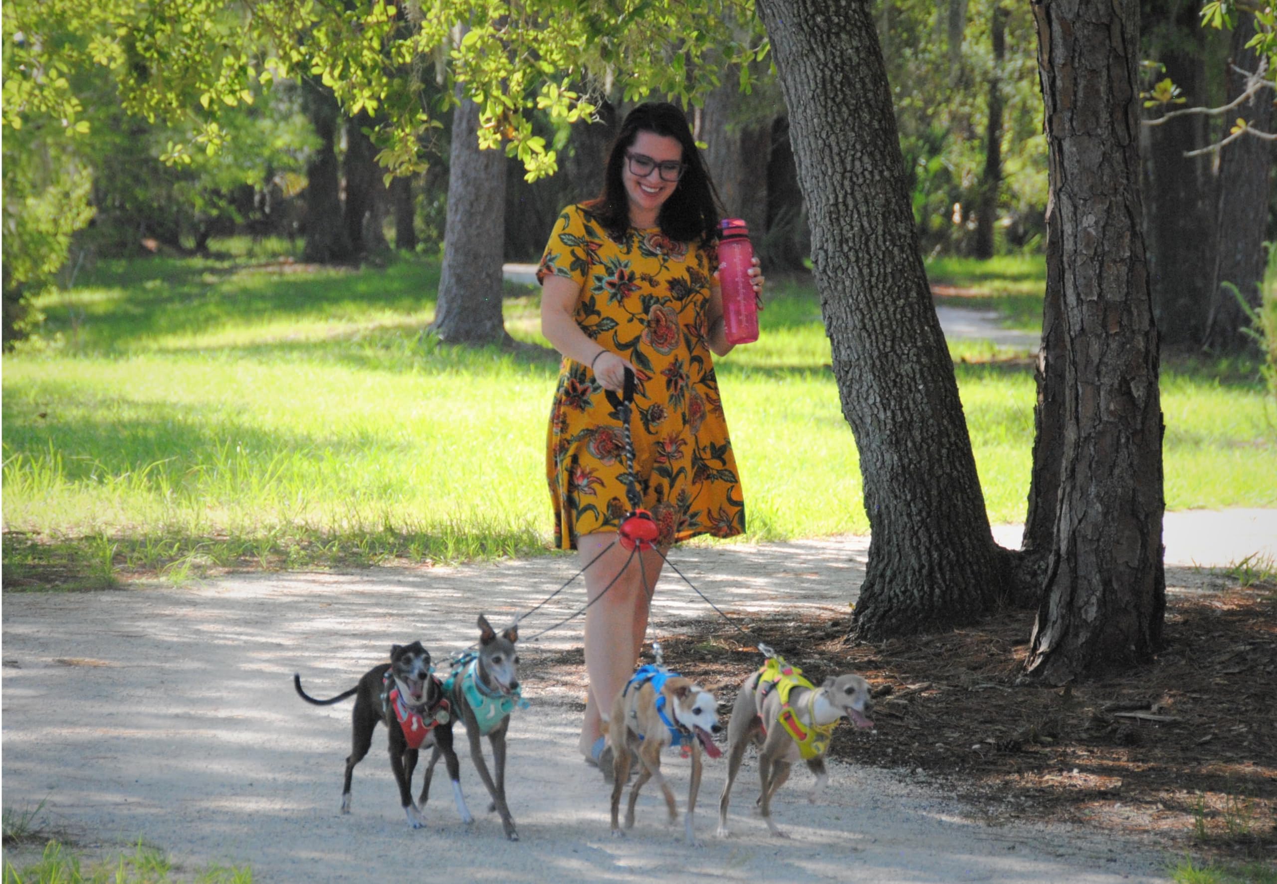 Multi Dog Tangle Free Leash