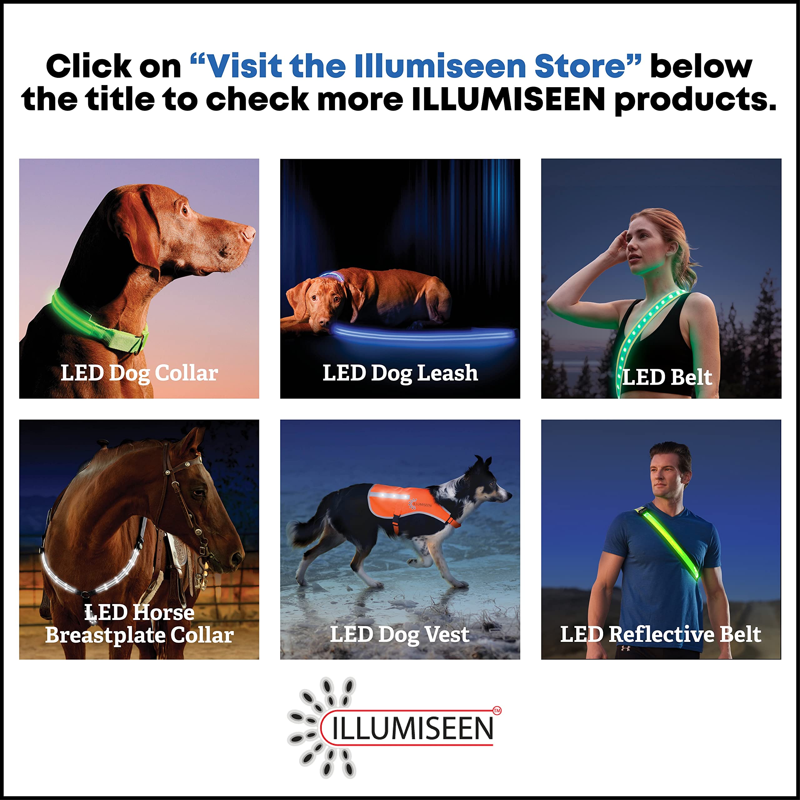 ILLUMISEEN Rechargeable LED Dog Collar