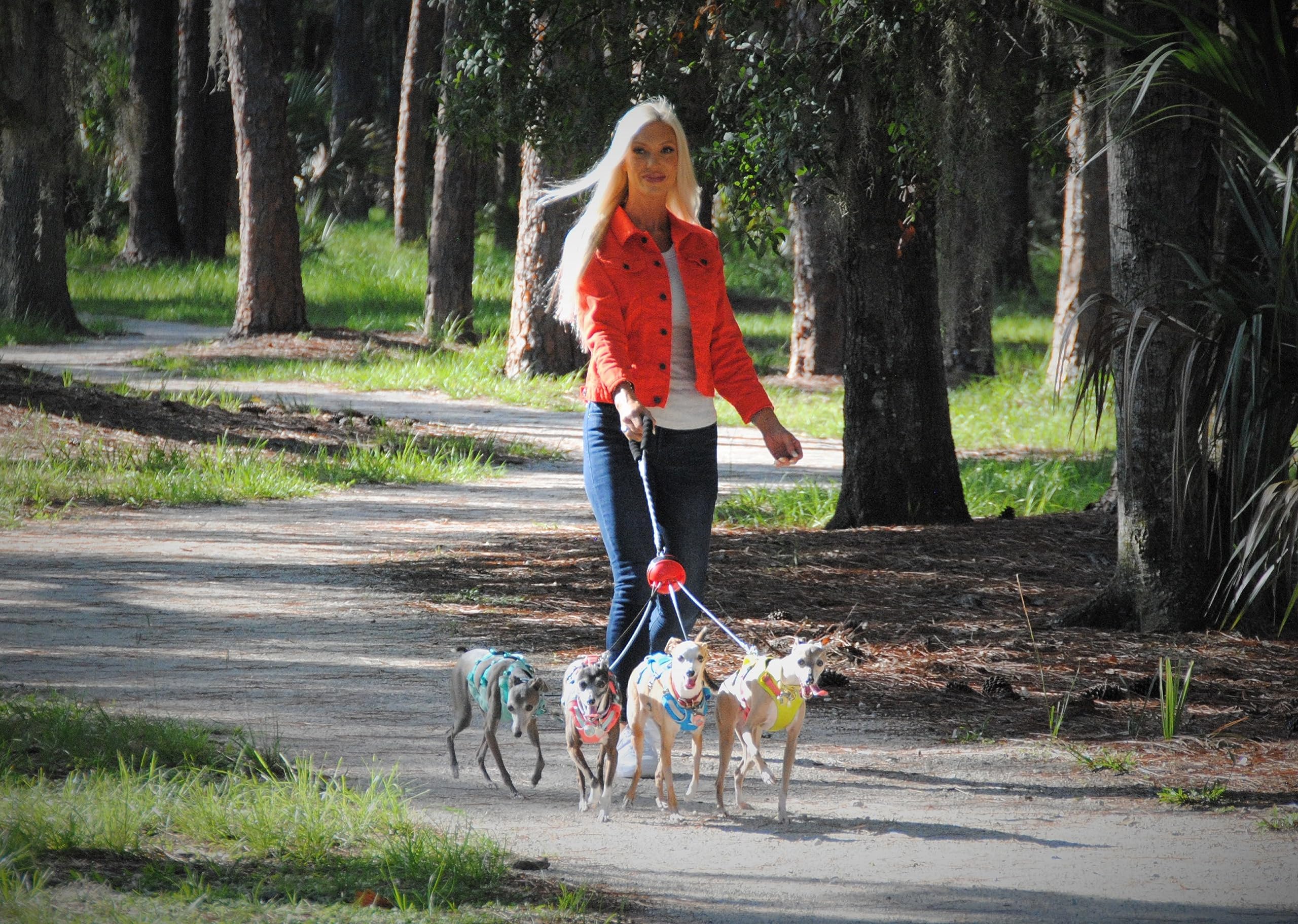 Multi Dog Tangle Free Leash