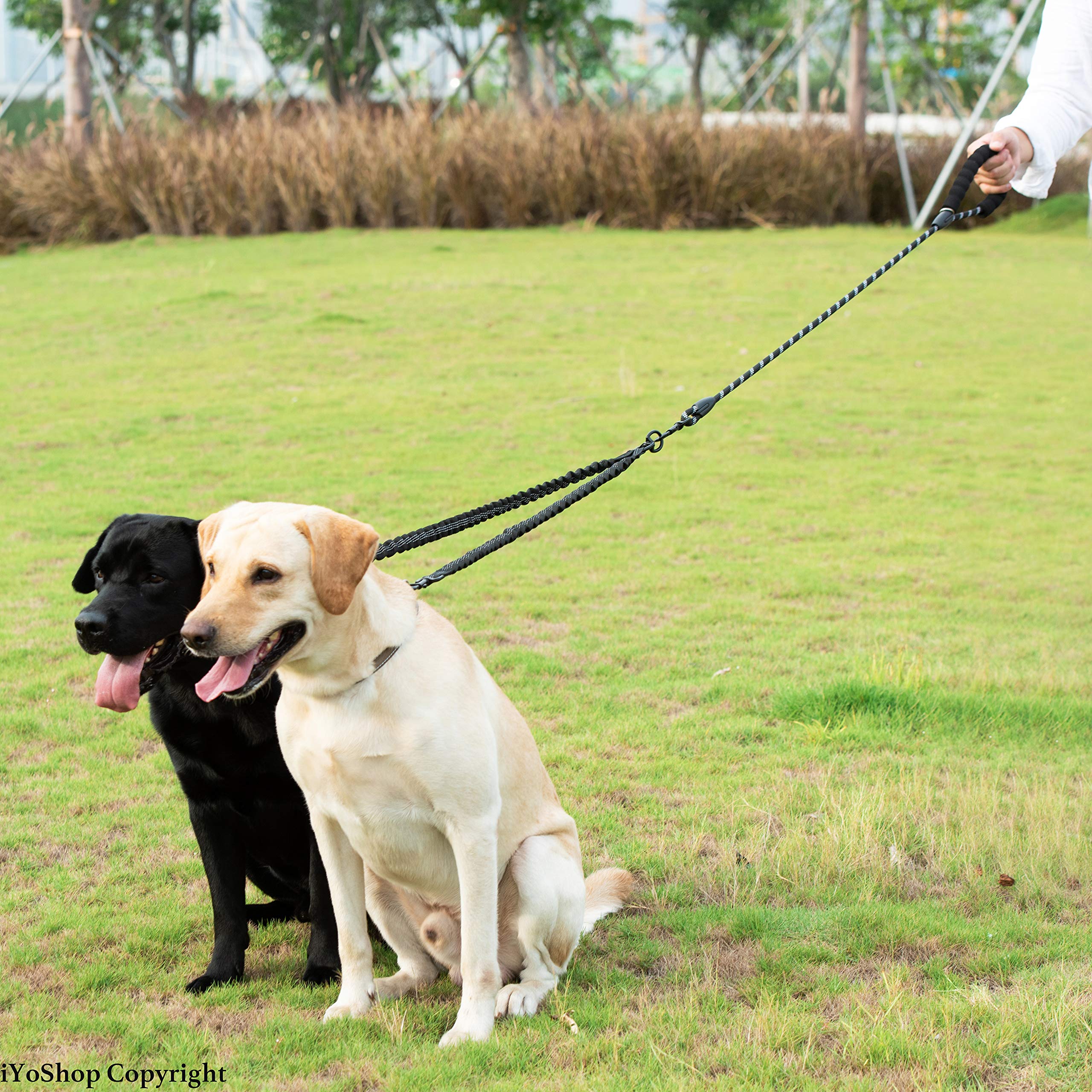 Dual Dog Leash - 360° Swivel, No Tangle Walking