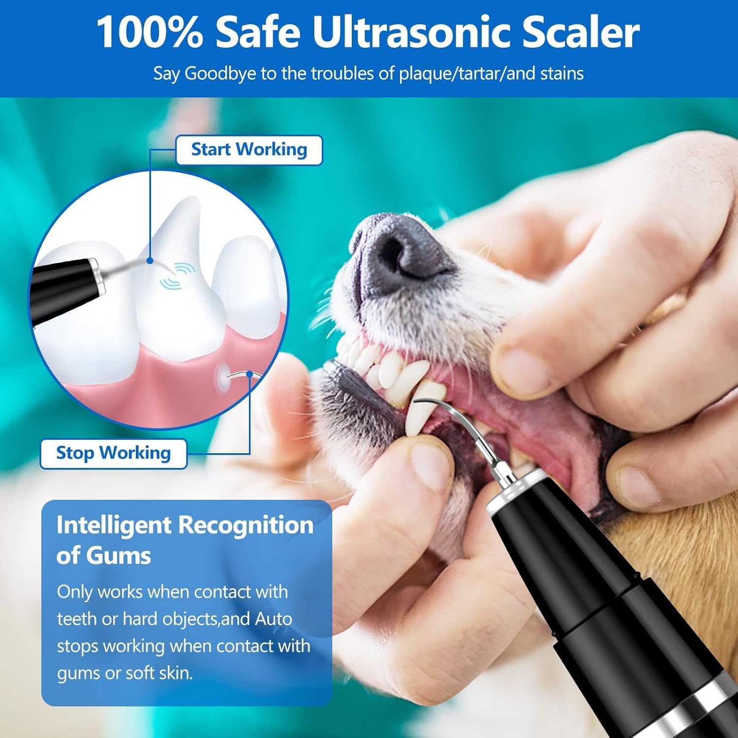 Pet Ultrasonic Cleaner - Teeth Cleaning Kit
