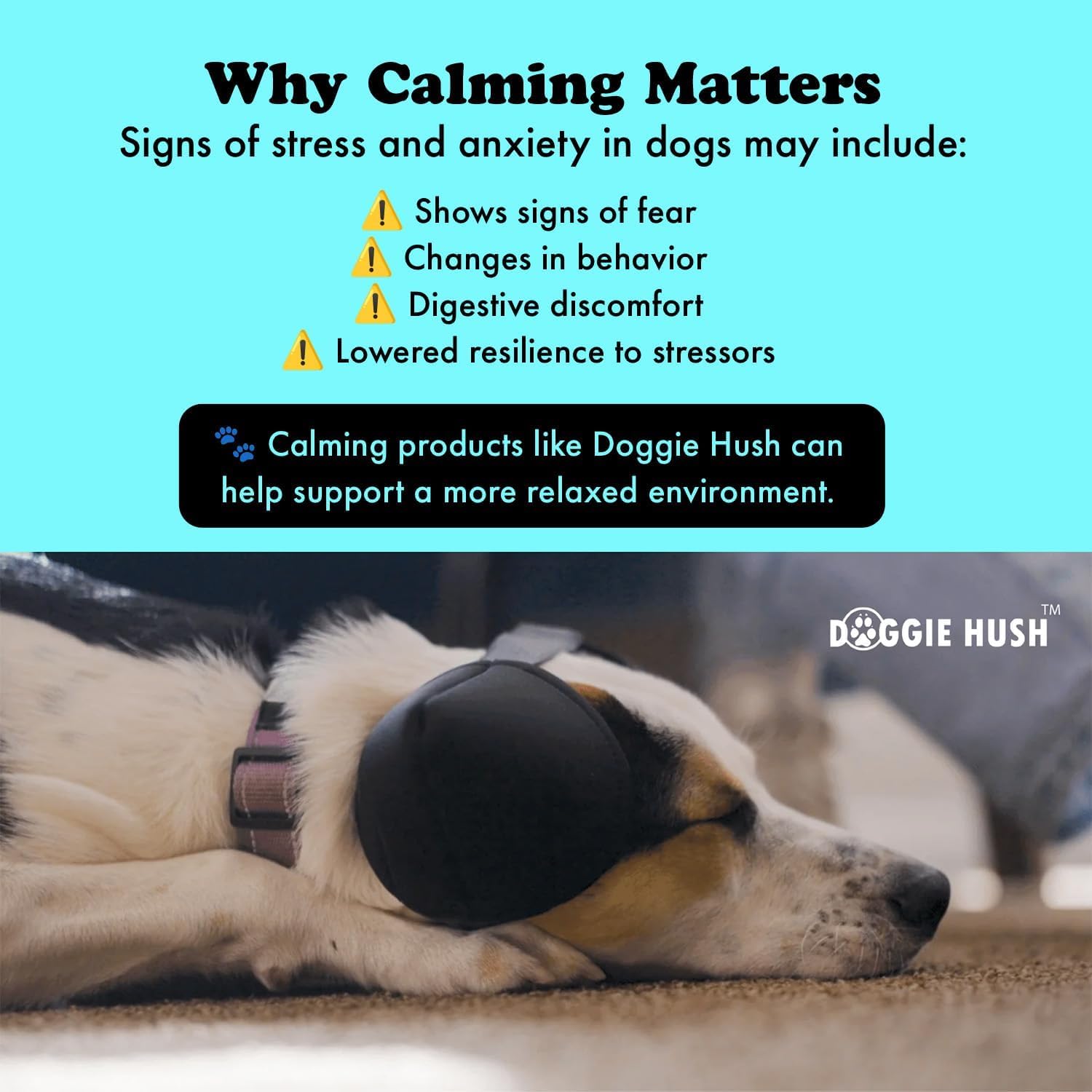 Advanced noise canceling ear protection for anxious Dogs