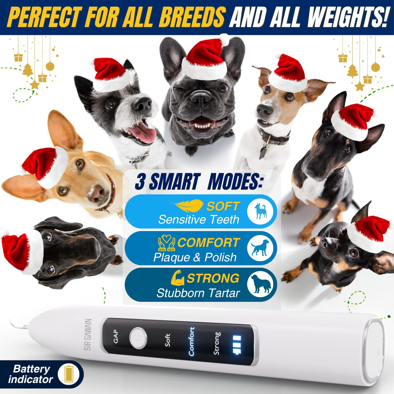 Pet Ultrasonic Teeth Cleaning Kit