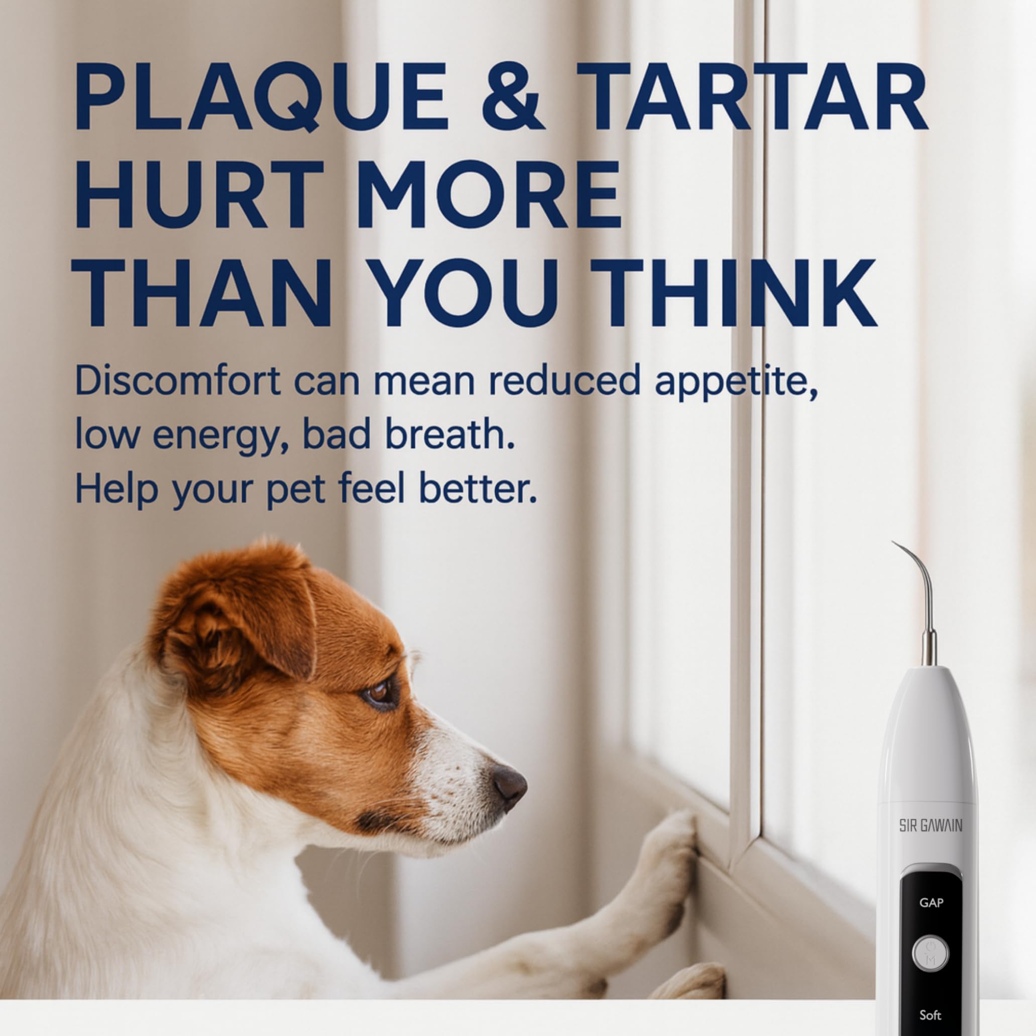 Pet Ultrasonic Teeth Cleaning Kit