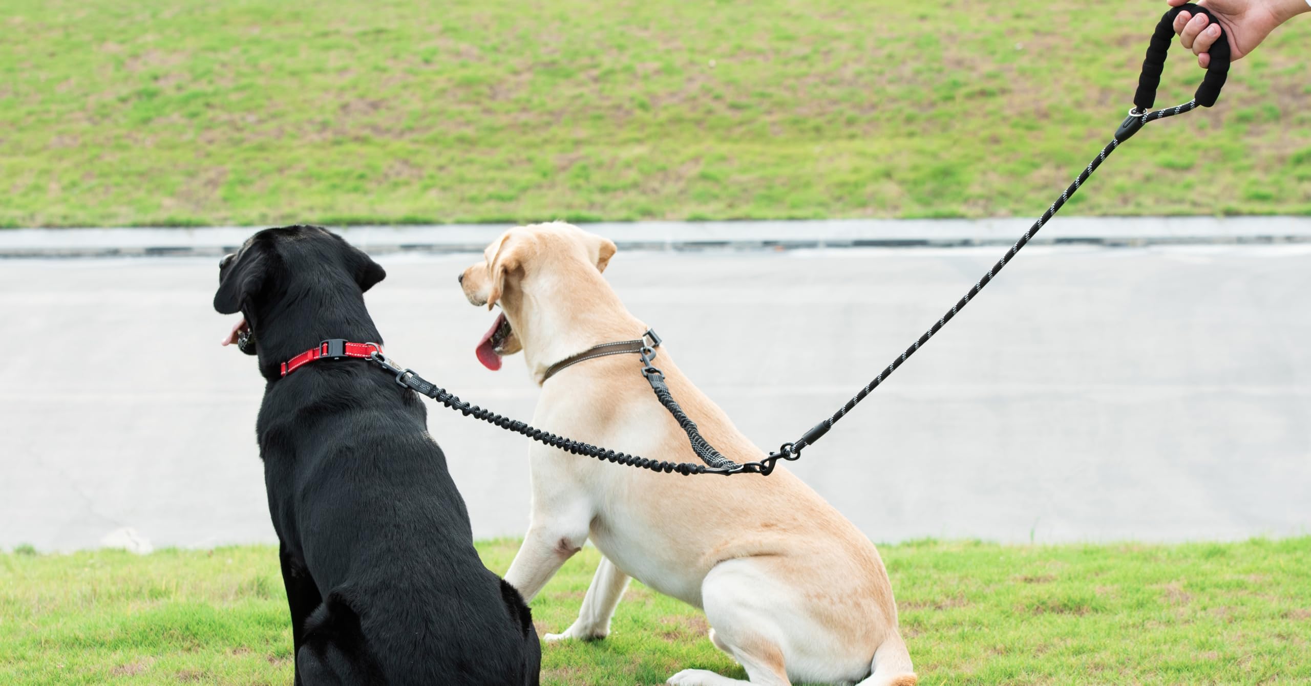 Dual Dog Leash - 360° Swivel, No Tangle Walking