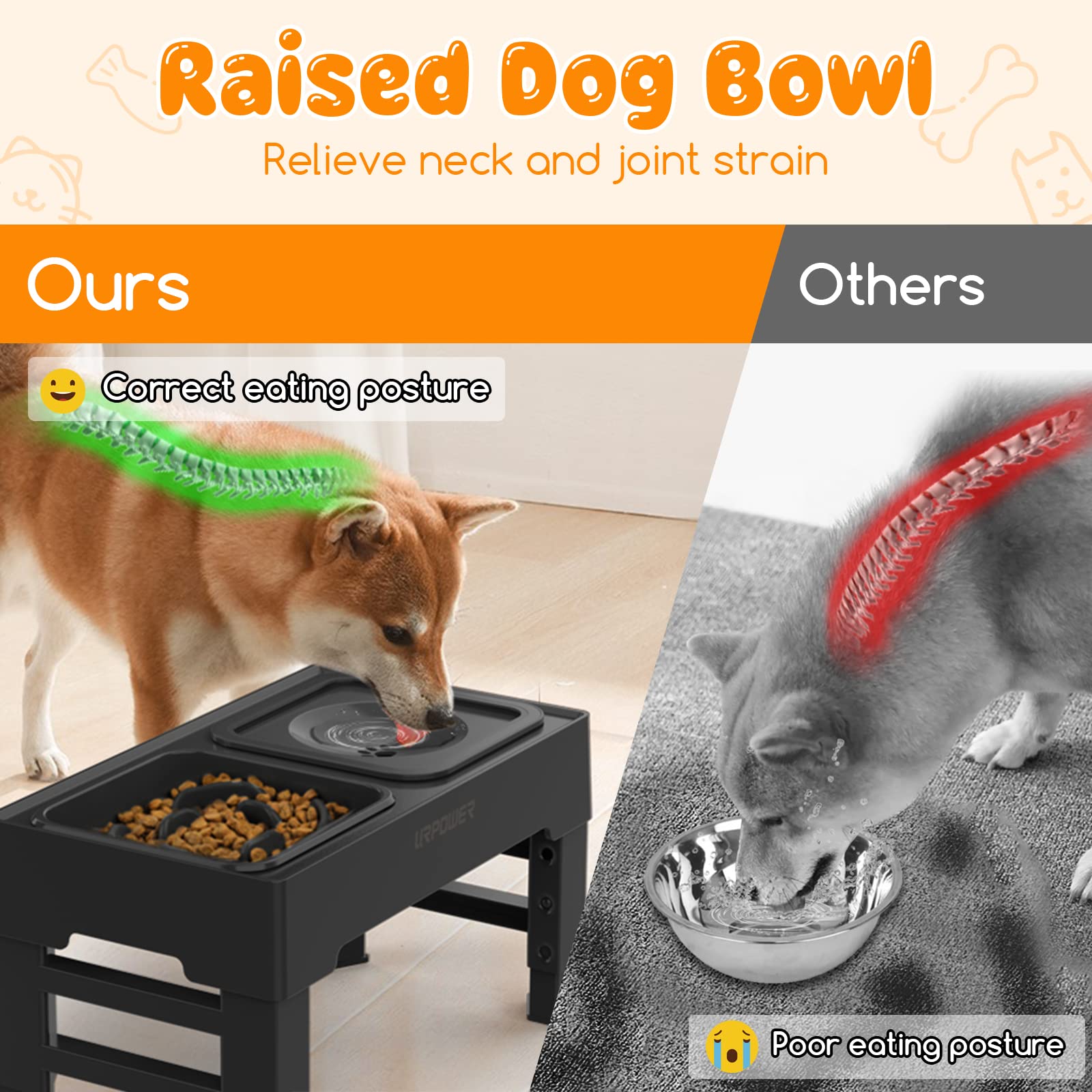 2-in-1 Elevated Slow Feeder Dog Bowls with No-Spill Water Bowl