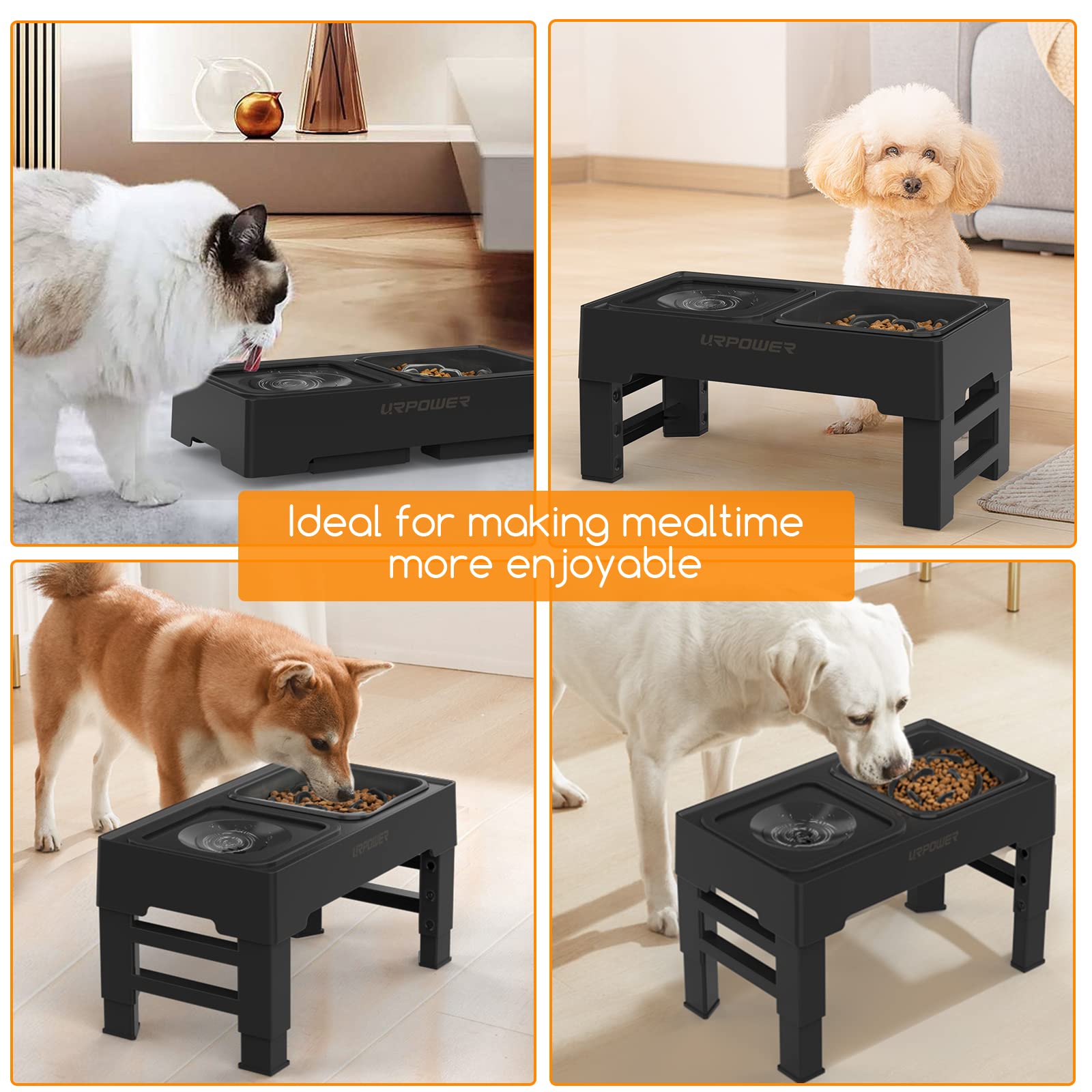 2-in-1 Elevated Slow Feeder Dog Bowls with No-Spill Water Bowl