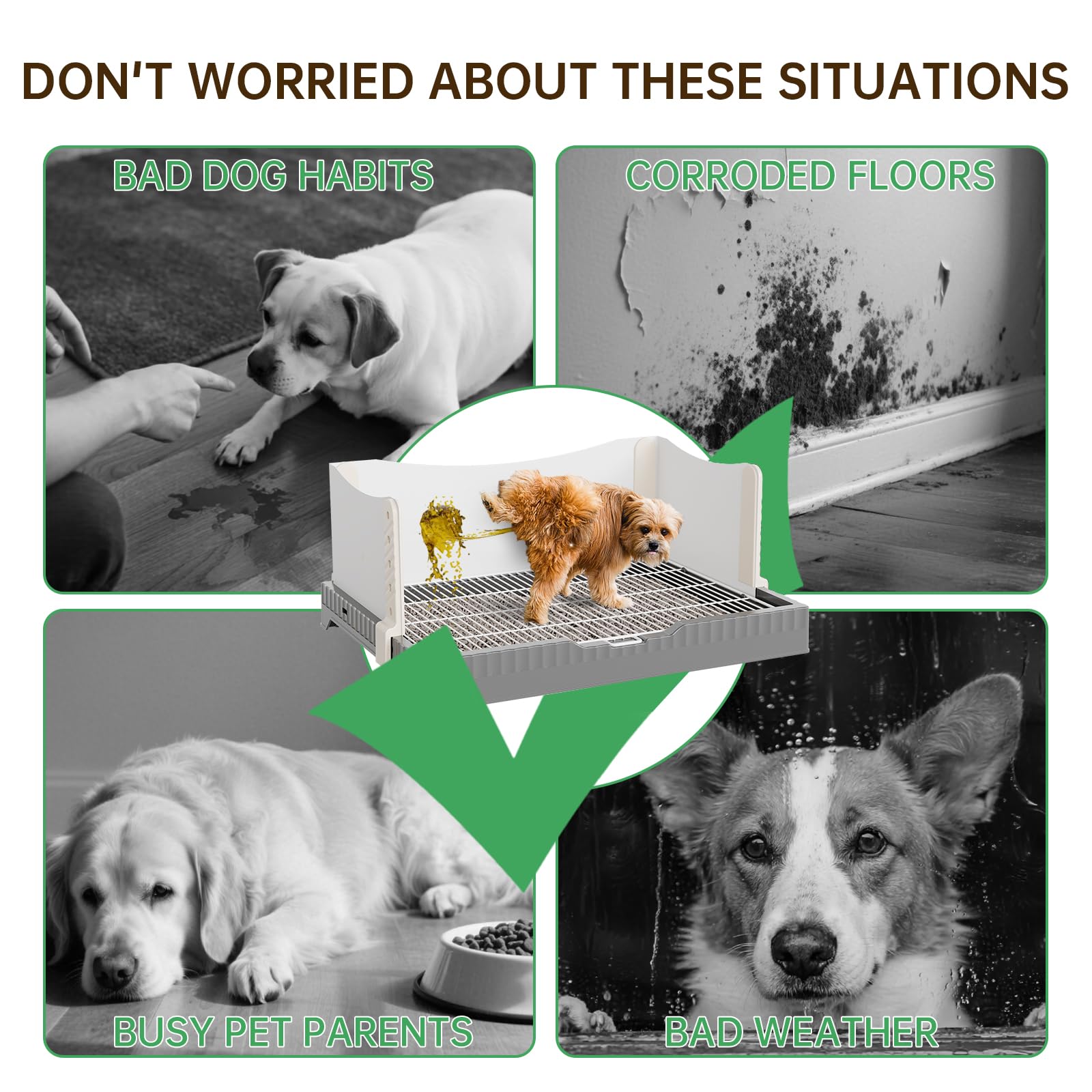 Dog Litter Box with High Pee Pee splash Walls